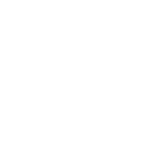 snowflake(5)